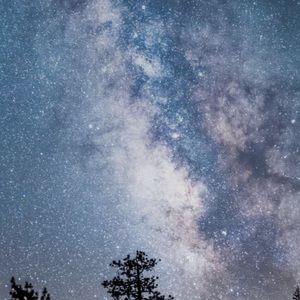 Meet your Posher, Marlene